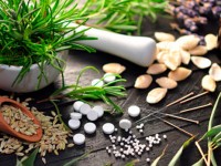 Ervas e plantas medicinais utilizados na fitoterapia para curar doenças