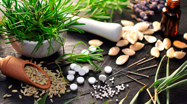 Ervas e plantas medicinais utilizados na fitoterapia para curar doenças