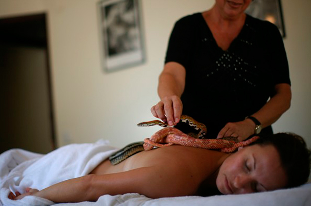 Ada Barak fazendo massagem com cobras
