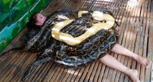 Massagem bizarra com cobras