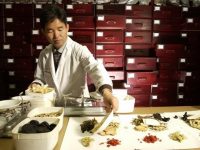 O que é Medicina Tradicional Chinesa